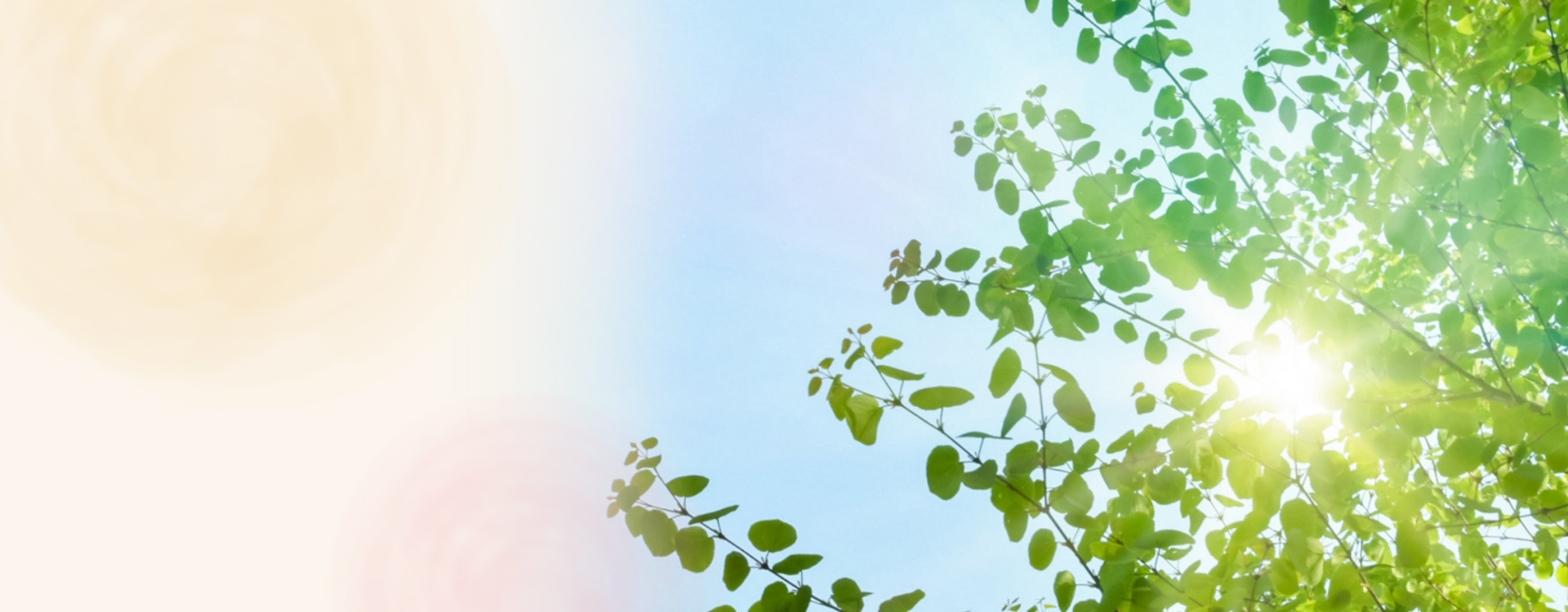 きみこ・クリニック胃腸肛門科